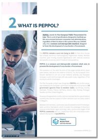 peppol network