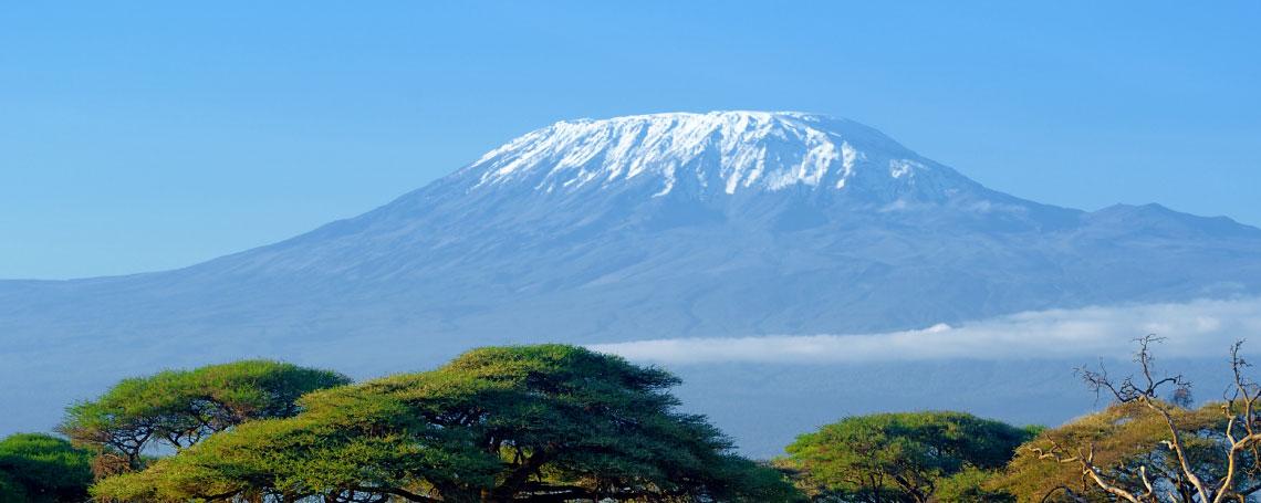 tanzania etax reporting