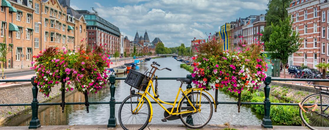 países bajos holanda factura electrónica